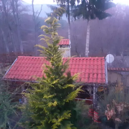 стаи,нощувки Zheleznica Zheleznitsa